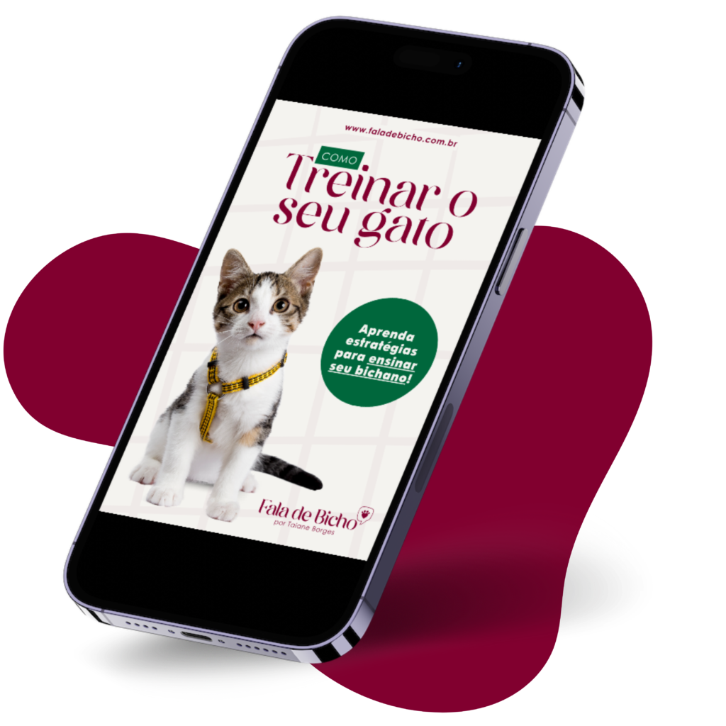 Ebook