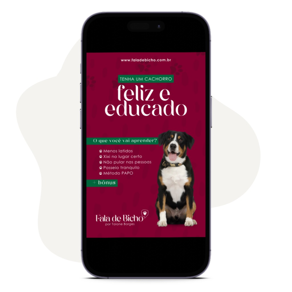 Ebook