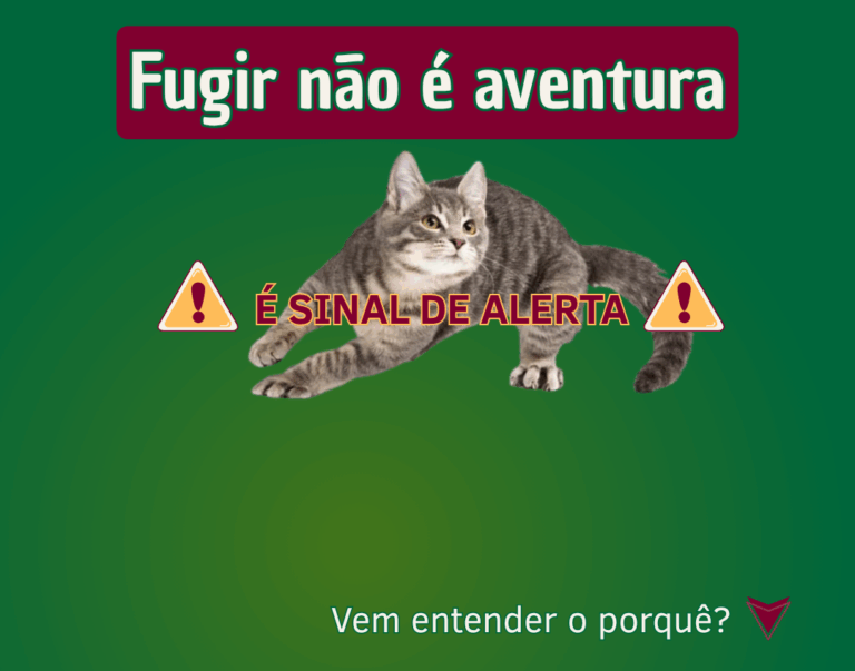 Por que seu gato tenta fugir?