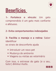 entender seu gato (3)