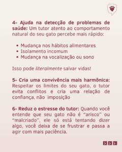 entender seu gato (4)