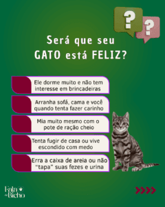 Será que seu gato é feliz?