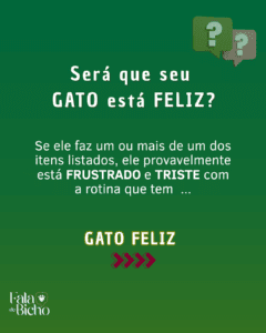 gato feliz (3)